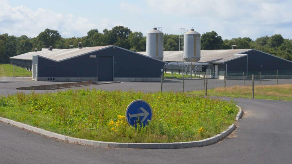formation Référent biosécurité en élevage avicole