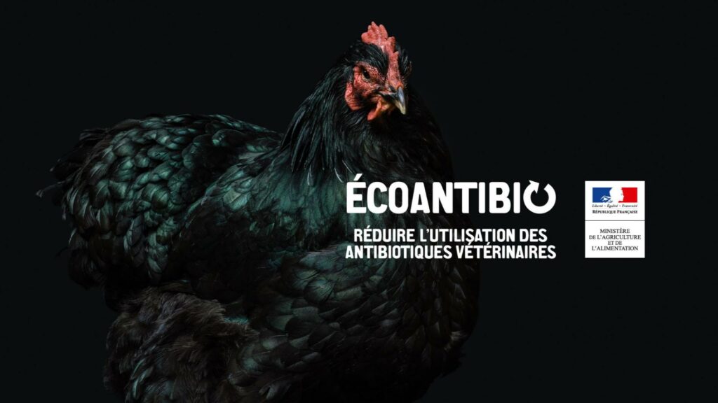 bonnes pratiques écoantibio volaille