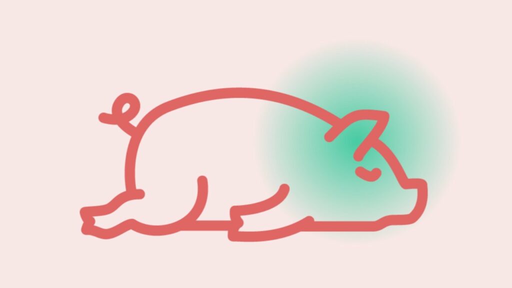 cochon-inconscient