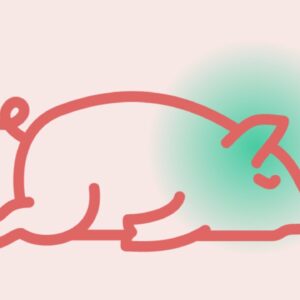cochon-inconscient